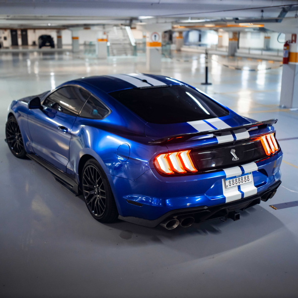 MUSTANG V8! KIT GT500